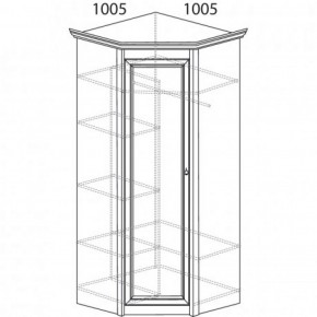 Шкаф угловой №662 "Флоренция" Фасад глухой (угол 1005*1005) Дуб оксфорд в Нижнекамске - nizhnekamsk.ok-mebel.com | фото 3