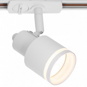 Светильник на штанге Citilux Bruno CL565T10 в Нижнекамске - nizhnekamsk.ok-mebel.com | фото 2