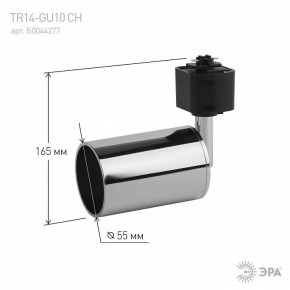 Светильник на штанге Эра  TR14-GU10 CH в Нижнекамске - nizhnekamsk.ok-mebel.com | фото 4