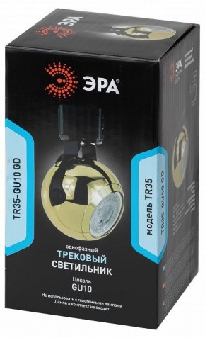 Светильник на штанге Эра  TR35-GU10 GD в Нижнекамске - nizhnekamsk.ok-mebel.com | фото 3