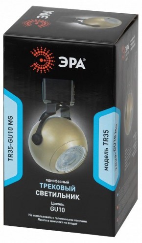 Светильник на штанге Эра  TR35-GU10 MG в Нижнекамске - nizhnekamsk.ok-mebel.com | фото 4
