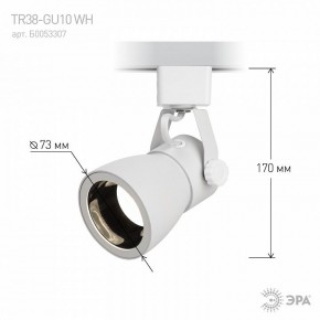 Светильник на штанге Эра  TR38-GU10 WH в Нижнекамске - nizhnekamsk.ok-mebel.com | фото 6