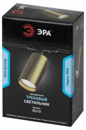 Светильник на штанге Эра  TR39-GU10 BS в Нижнекамске - nizhnekamsk.ok-mebel.com | фото 4