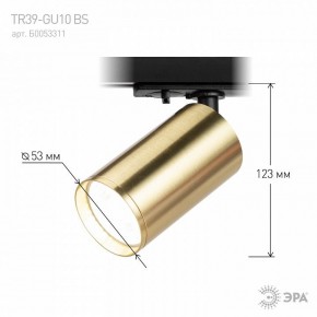Светильник на штанге Эра  TR39-GU10 BS в Нижнекамске - nizhnekamsk.ok-mebel.com | фото 6