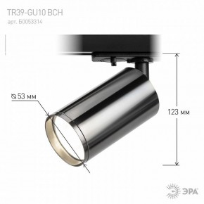 Светильник на штанге Эра  TR39-GU10 ВСН в Нижнекамске - nizhnekamsk.ok-mebel.com | фото 7