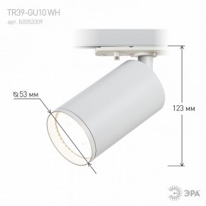 Светильник на штанге Эра  TR39-GU10 WH в Нижнекамске - nizhnekamsk.ok-mebel.com | фото 7