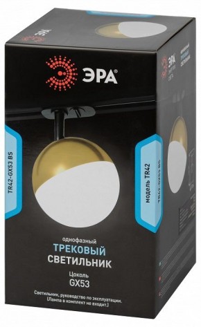 Светильник на штанге Эра  TR42-GX53 BS в Нижнекамске - nizhnekamsk.ok-mebel.com | фото 6