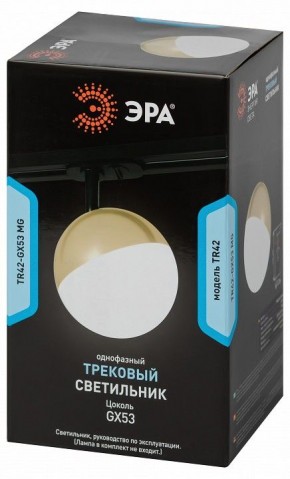 Светильник на штанге Эра  TR42-GX53 MG в Нижнекамске - nizhnekamsk.ok-mebel.com | фото 6