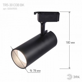 Светильник на штанге Эра  TR5-30 COB BK в Нижнекамске - nizhnekamsk.ok-mebel.com | фото 5