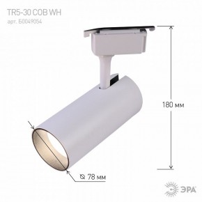 Светильник на штанге Эра  TR5-30 COB WH в Нижнекамске - nizhnekamsk.ok-mebel.com | фото 6