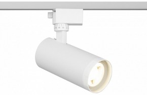 Светильник на штанге Эра  TR59 - 2040 WH в Нижнекамске - nizhnekamsk.ok-mebel.com | фото