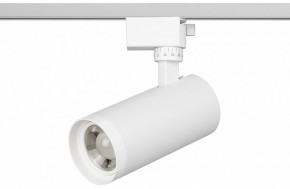 Светильник на штанге Эра  TR59 - 2040 WH в Нижнекамске - nizhnekamsk.ok-mebel.com | фото 2