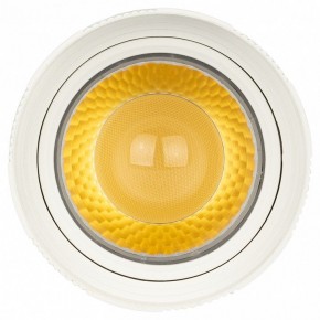 Светильник на штанге Эра  TR59 - 2040 WH в Нижнекамске - nizhnekamsk.ok-mebel.com | фото 3