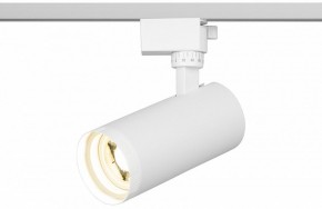 Светильник на штанге Эра  TR59 - 2040 WH в Нижнекамске - nizhnekamsk.ok-mebel.com | фото 5