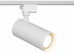 Светильник на штанге Эра  TR59 - 3030 WH в Нижнекамске - nizhnekamsk.ok-mebel.com | фото