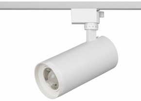 Светильник на штанге Эра  TR59 - 3030 WH в Нижнекамске - nizhnekamsk.ok-mebel.com | фото 2