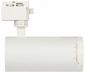 Светильник на штанге Эра  TR59 - 3030 WH в Нижнекамске - nizhnekamsk.ok-mebel.com | фото 4