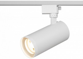 Светильник на штанге Эра  TR59 - 3030 WH в Нижнекамске - nizhnekamsk.ok-mebel.com | фото 5