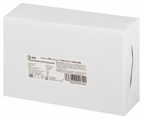 Светильник на штанге Эра  TRM-S5-3-12W4K-BK в Нижнекамске - nizhnekamsk.ok-mebel.com | фото 8