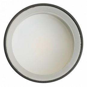 Светильник на штанге Feron ML1001 51371 в Нижнекамске - nizhnekamsk.ok-mebel.com | фото 4