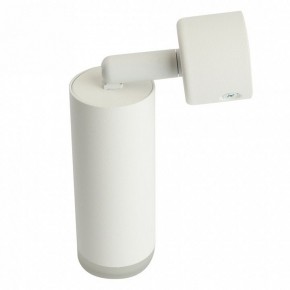 Светильник на штанге Feron ML1021 51390 в Нижнекамске - nizhnekamsk.ok-mebel.com | фото 3