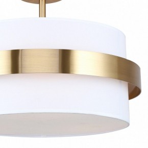Светильник на штанге Freya Bride FR5367CL-03BS в Нижнекамске - nizhnekamsk.ok-mebel.com | фото 3