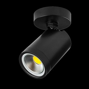 Светильник на штанге Lightstar Rullo 213407 в Нижнекамске - nizhnekamsk.ok-mebel.com | фото 2
