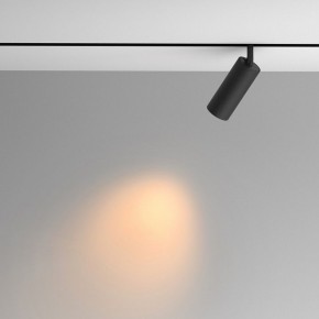 Светильник на штанге Maytoni Artisan TR097-2-12W2.7K-M-BB в Нижнекамске - nizhnekamsk.ok-mebel.com | фото 4
