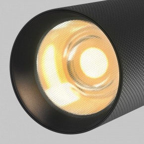 Светильник на штанге Maytoni Artisan TR097-2-12W2.7K-M-BB в Нижнекамске - nizhnekamsk.ok-mebel.com | фото 9