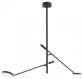 Светильник на штанге Maytoni Fad MOD070CL-L15B3K1 в Нижнекамске - nizhnekamsk.ok-mebel.com | фото