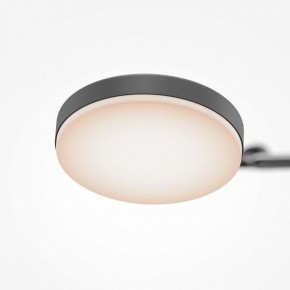 Светильник на штанге Maytoni Fad MOD070CL-L15B3K1 в Нижнекамске - nizhnekamsk.ok-mebel.com | фото 7