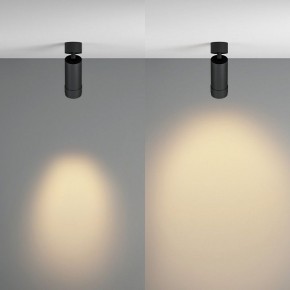 Светильник на штанге Maytoni Focus Zoom C055CL-L12W2.7K-Z-B в Нижнекамске - nizhnekamsk.ok-mebel.com | фото 3