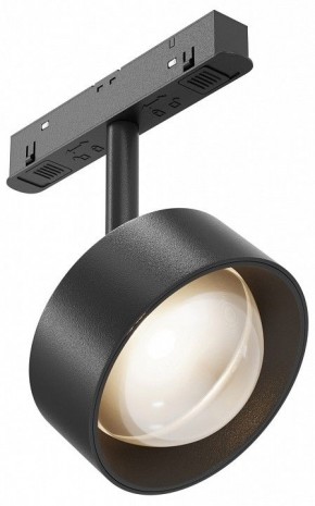 Светильник на штанге Maytoni Lens TR217-2-15W3K-B в Нижнекамске - nizhnekamsk.ok-mebel.com | фото