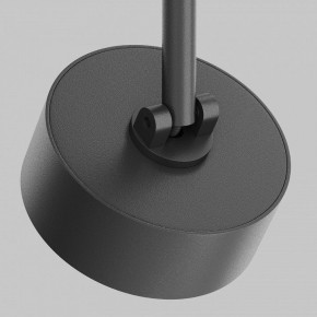 Светильник на штанге Maytoni Lens TR217-2-15W3K-B в Нижнекамске - nizhnekamsk.ok-mebel.com | фото 11