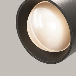 Светильник на штанге Maytoni Lens TR217-2-15W3K-B в Нижнекамске - nizhnekamsk.ok-mebel.com | фото 12