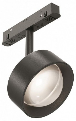 Светильник на штанге Maytoni Lens TR217-2-15W4K-B в Нижнекамске - nizhnekamsk.ok-mebel.com | фото