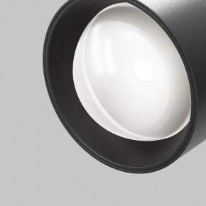 Светильник на штанге Maytoni Lens TR217-2-15W4K-B в Нижнекамске - nizhnekamsk.ok-mebel.com | фото 10