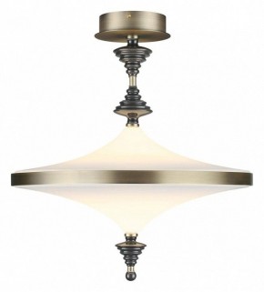 Светильник на штанге Odeon Light Ula 5404/43CL в Нижнекамске - nizhnekamsk.ok-mebel.com | фото 2