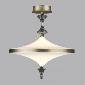 Светильник на штанге Odeon Light Ula 5404/43CL в Нижнекамске - nizhnekamsk.ok-mebel.com | фото 3