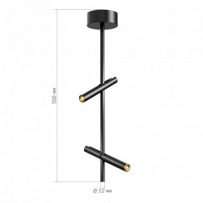 Светильник на штанге ST-Luce LILT SL6210.403.02 в Нижнекамске - nizhnekamsk.ok-mebel.com | фото 3