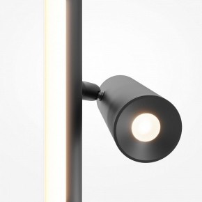 Торшер Maytoni Thin MOD395FL-L28B3K в Нижнекамске - nizhnekamsk.ok-mebel.com | фото 6