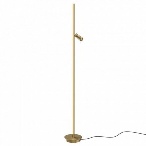 Торшер Maytoni Thin MOD395FL-L28BS3K в Нижнекамске - nizhnekamsk.ok-mebel.com | фото