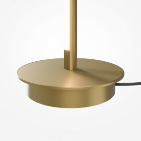 Торшер Maytoni Thin MOD395FL-L28BS3K в Нижнекамске - nizhnekamsk.ok-mebel.com | фото 7